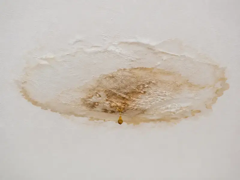 Leak Solutions services in Selma, NC