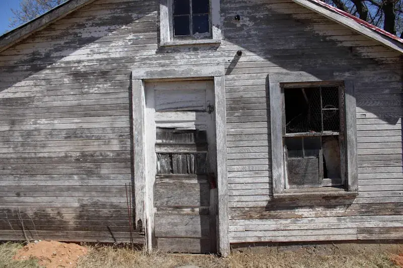 Rot & Water Damage