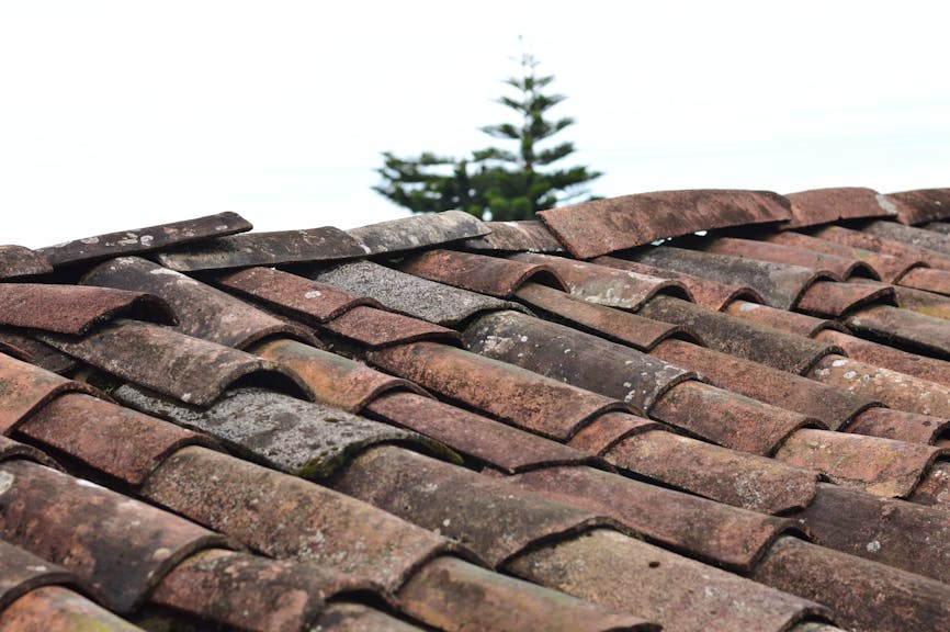 Asphalt shingle roof close-up for comparison to metal roofing in NC